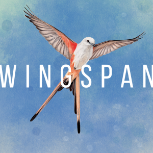 Wingspan