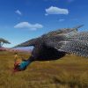 Way of the Hunter - Tikamoon Plains - Image 2