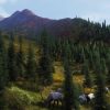 Way of the Hunter - Aurora Shores - Image 2