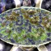 World Turtles - Image 2