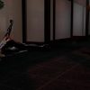 BloodRayne 2: Terminal Cut - Image 2