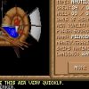 Spelljammer: Pirates of Realmspace - Image 2