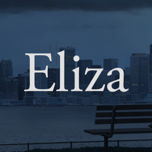 BESTSELLER - Eliza