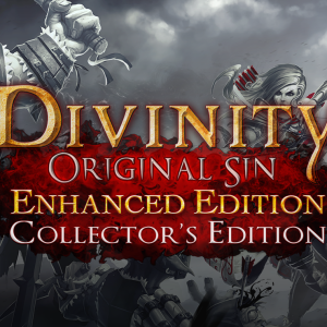 Divinity: Original Sin - Enhanced Edition Collector's Edition