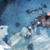 Frostpunk - Image 2