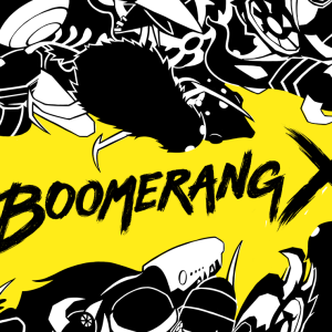 Boomerang X