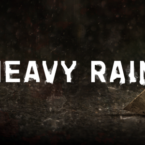 BESTSELLER - Heavy Rain