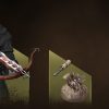 A Plague Tale: Requiem - Protector Pack DLC - Image 2
