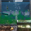 Aquarist - Image 2