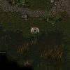 Divine Divinity - Image 2