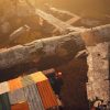 Survive the Fall - Image 2