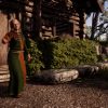 Medieval Dynasty - Echoes of Nature - Image 2