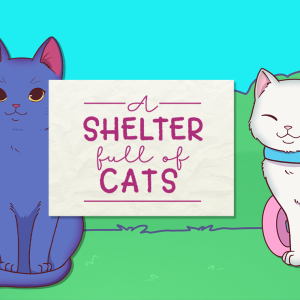 A Shelter Full of Cats