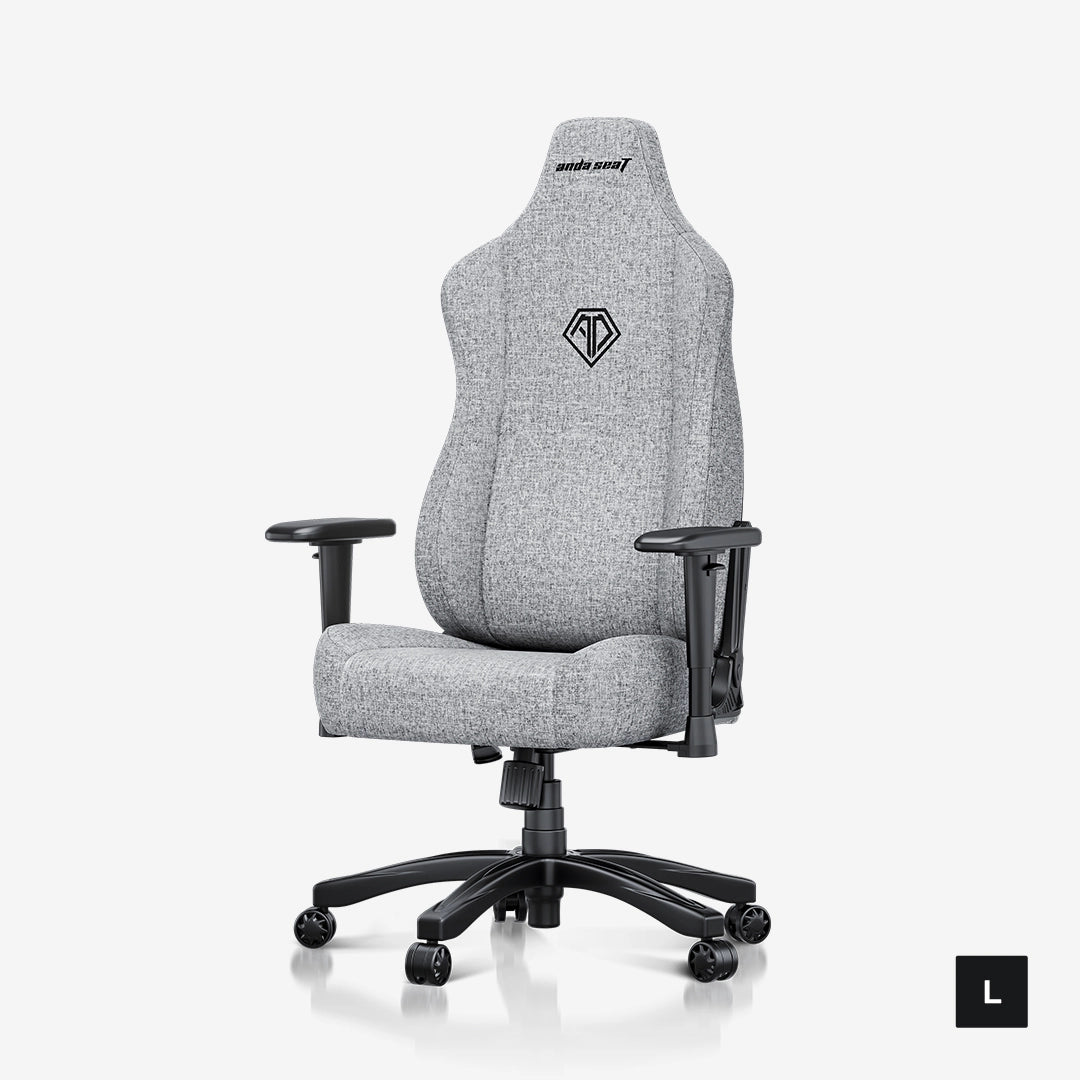 AndaSeat Novis Series Best Budget Ergonomic Gaming Chair L - Ash Gray